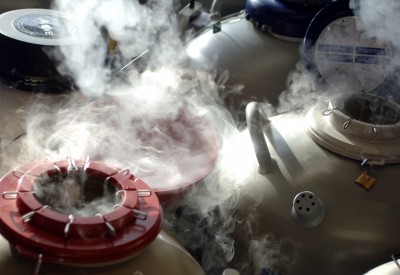 embryo-freezing