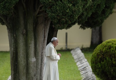 francis-tree